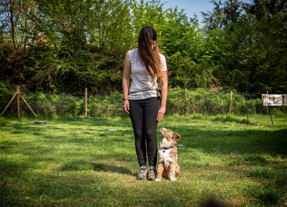 2978db40-644c-474a-b06e-5f991ae5f373