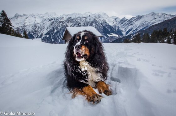 3bd86088-7eea-4923-9bb6-6236dbd422a7