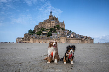 6eb81d70-e37f-43db-81c0-d6ec66932a6d