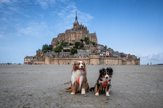 6eb81d70-e37f-43db-81c0-d6ec66932a6d