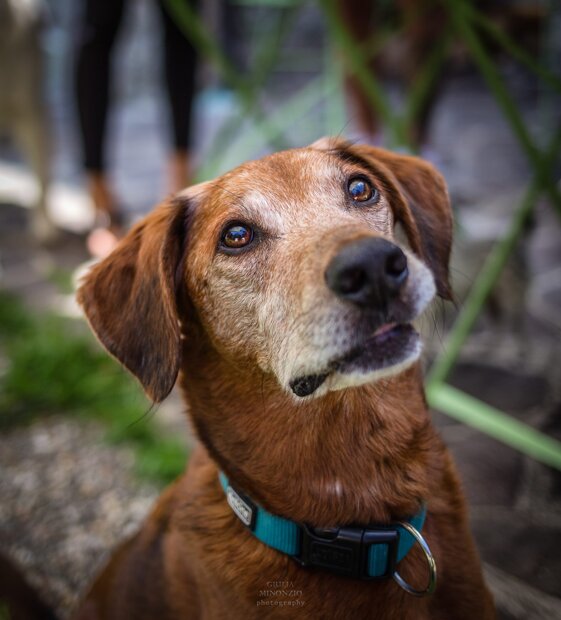 e6faaf71-56d4-4c90-9b75-c52b7f304607