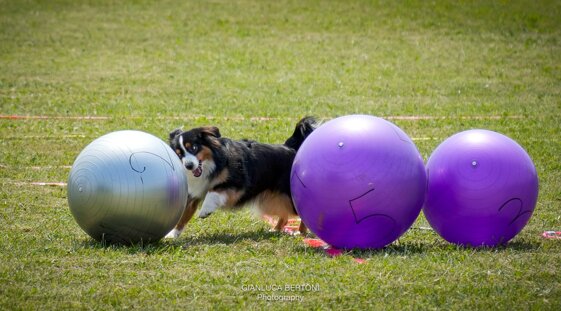 3337e22a-9fda-4b28-973b-e8e3c77ac2ea