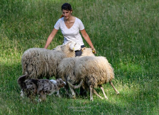 7d5e6685-99b3-4a31-9429-5c69af537f32