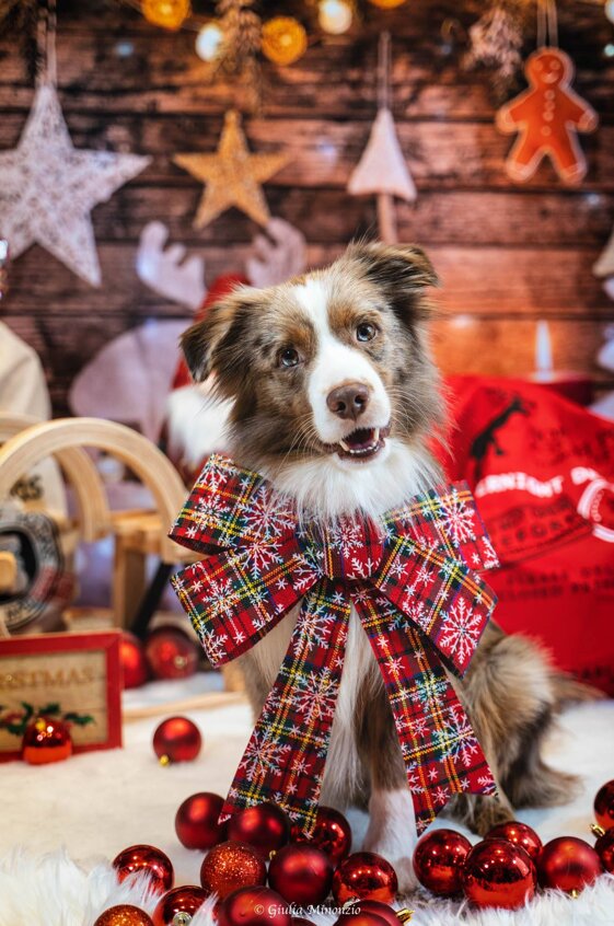 d141be9e-3a3f-4331-bf0b-5fc6a5ff17aa