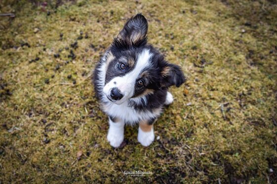 da512e27-7cb8-4408-8e11-5ad25dc11ed1