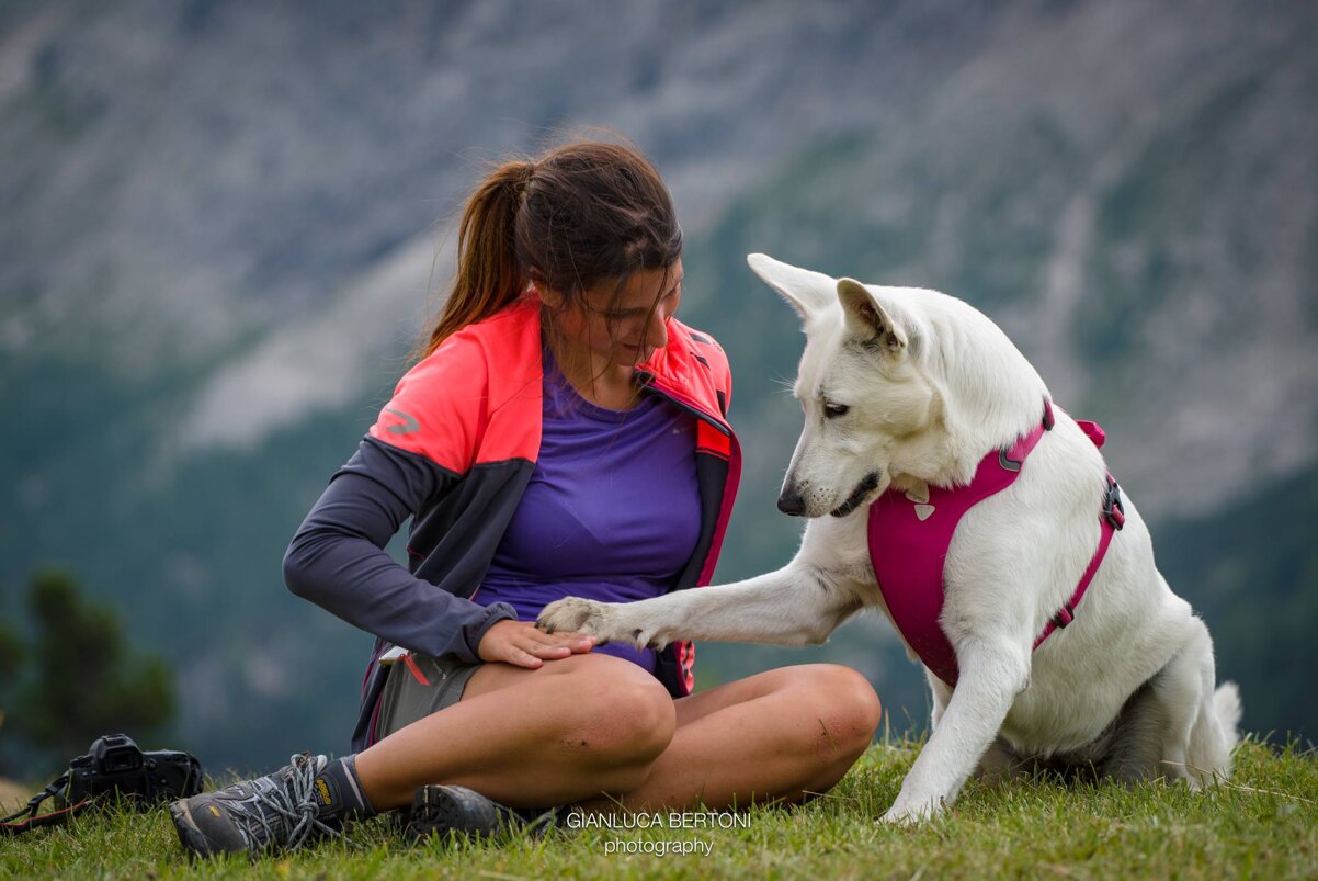 1c03acdc-4a6e-44ba-a329-8a93406bbbef