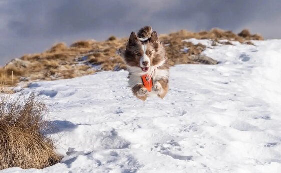 3f45a38a-e4c1-4425-8414-060ab4854992