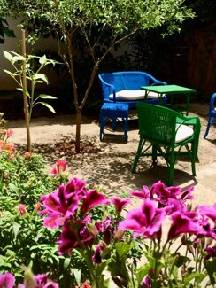 Giardino interno b&b Trapani La casa di Paola Giardino interno B&B La Casa