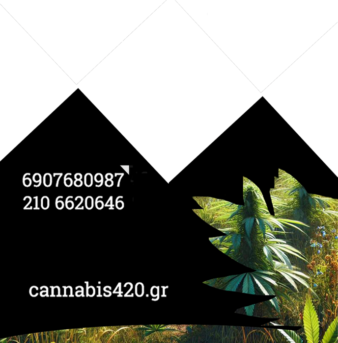 94029bfd-3f41-4903-aa02-bd055773b523