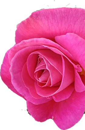 7308b3d8-8c3e-4a1b-8812-a9cd31885897