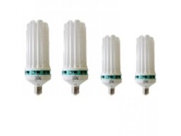 126d55cc-bf9e-4bcb-90fb-2483ac841a12 126d55cc-bf9e-4bcb-90fb-2483ac841a12