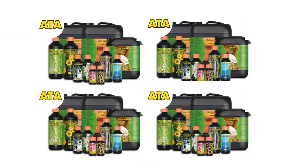 5f8ea795-bcec-4cd9-8dac-fd5080e9c955 5f8ea795-bcec-4cd9-8dac-fd5080e9c955