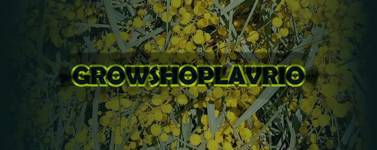 growshop lavrio
