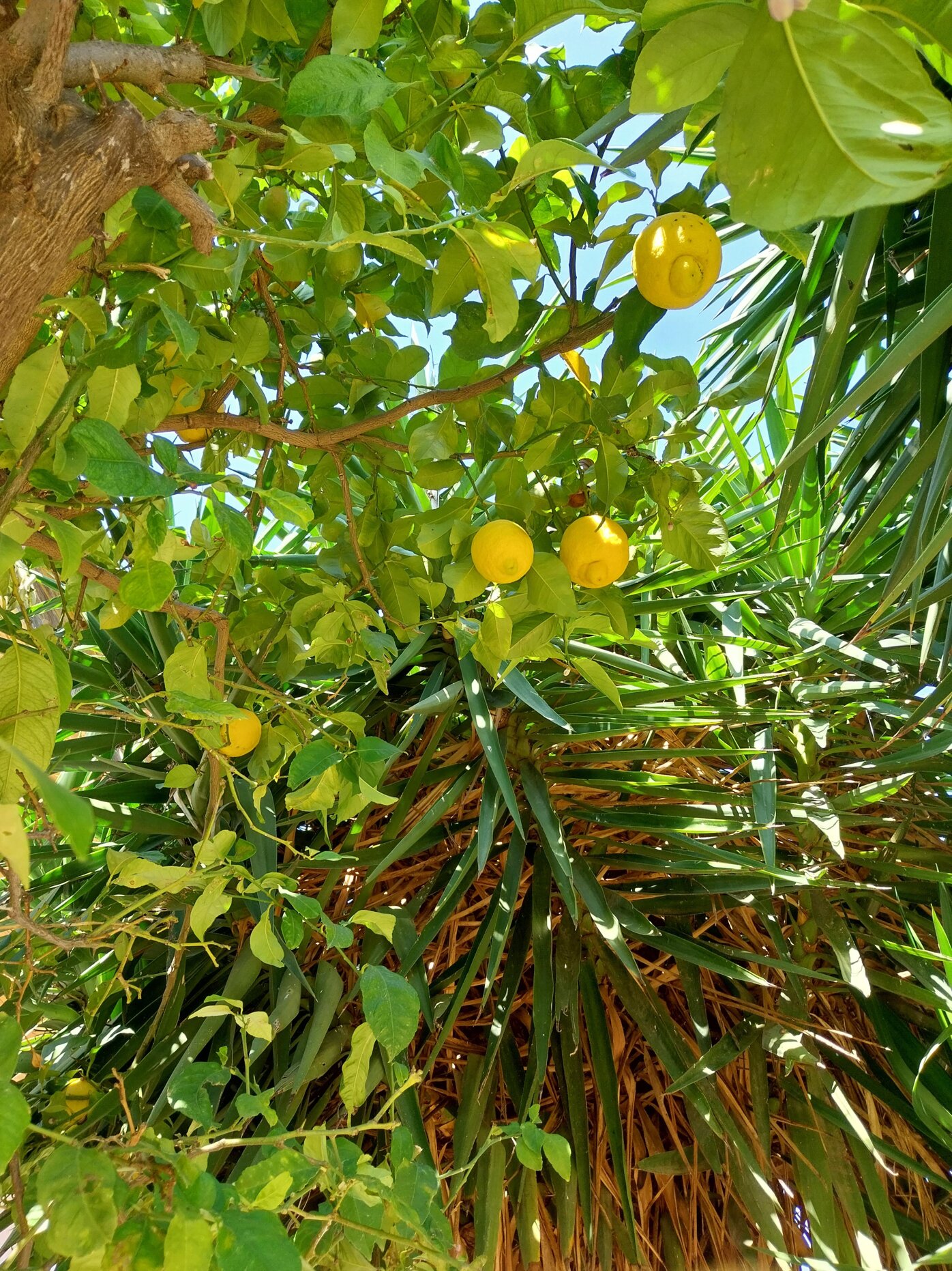 14bcabae-b602-460e-be83-5f48610ffced