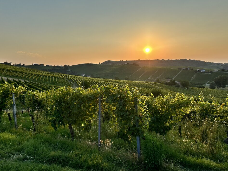 img_3341.jpeg img_3341.jpeg