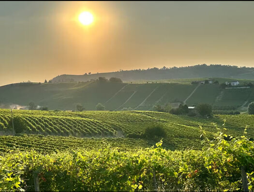 img_2092.jpeg img_2092.jpeg