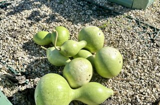 img_1823.jpeg img_1823.jpeg