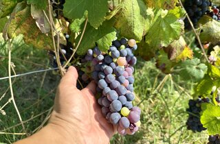 eyJlbiI6IiJ9 eyJlbiI6IiJ9