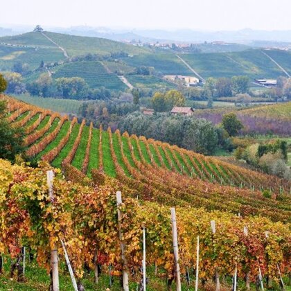 95b75905-b27d-4042-81eb-cd206d0feab0 95b75905-b27d-4042-81eb-cd206d0feab0