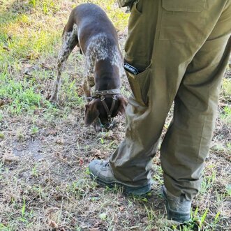 dacec14a-440d-4242-b9b3-312f662cd16c.jpeg dacec14a-440d-4242-b9b3-312f662cd16c.jpeg