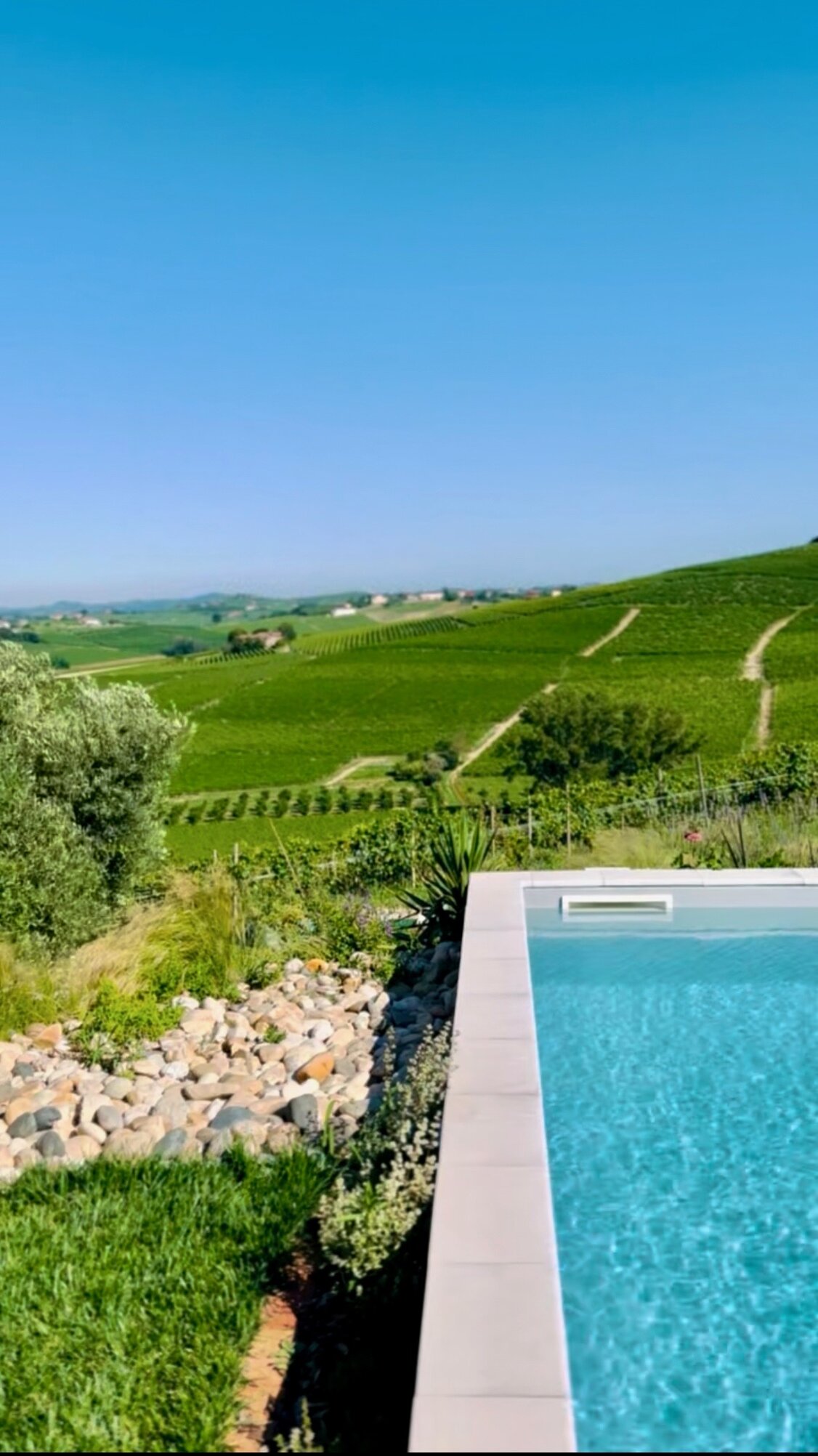 0c311939-b349-4642-87d3-cea1b9a6ab72.jpeg 0c311939-b349-4642-87d3-cea1b9a6ab72.jpeg