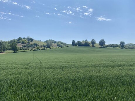 73c07111-f680-4481-9ba6-9dadc204cbd1 73c07111-f680-4481-9ba6-9dadc204cbd1