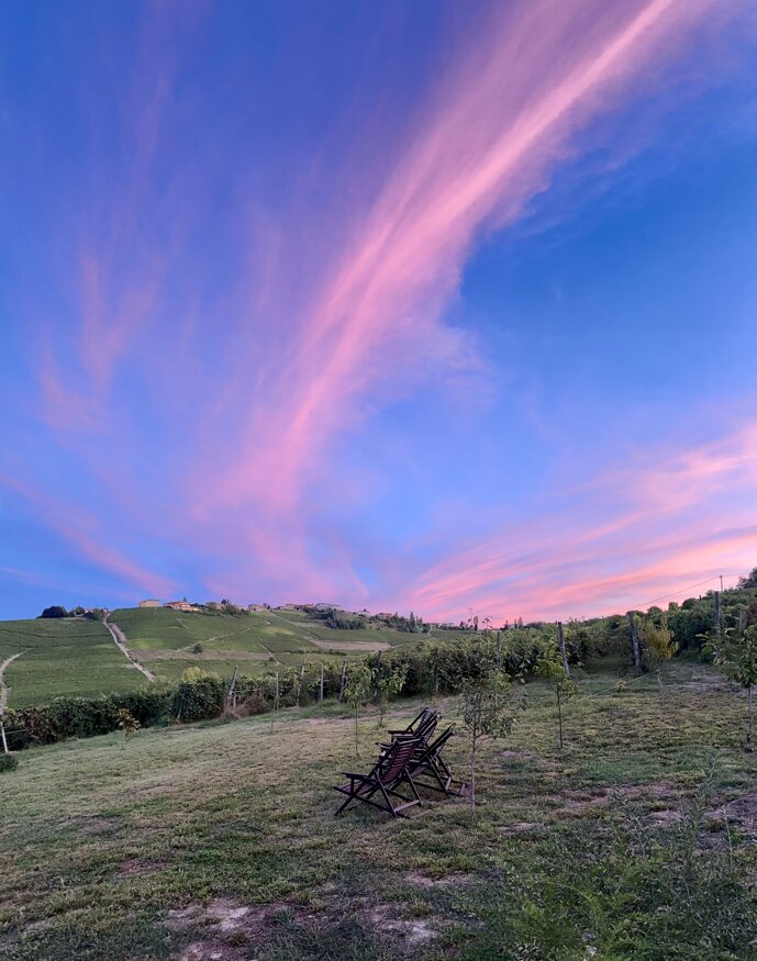 img_4074.jpeg img_4074.jpeg