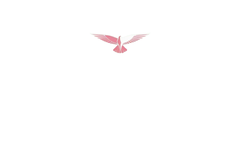 logo affittacamere dal falco_2
