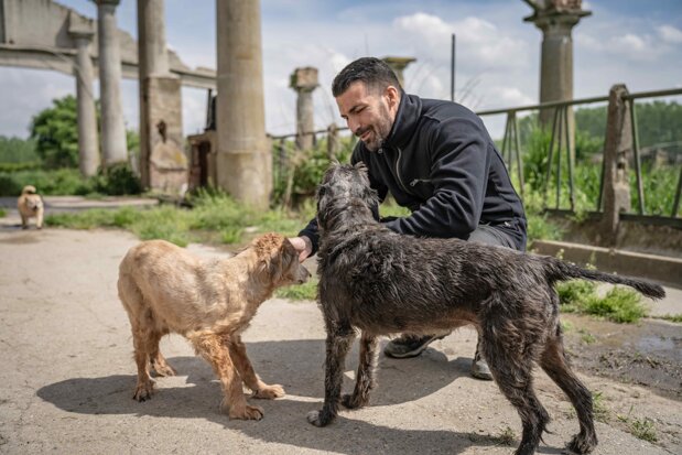 Operatore di Animal Support Service durante un intervento di ricerca e soccorso di cani smarriti sul territorio