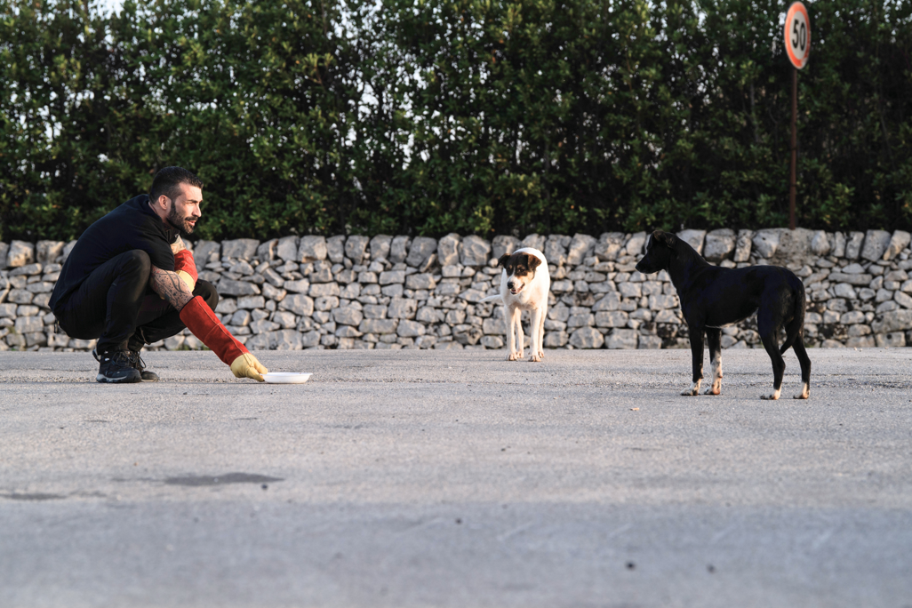 Approccio non invasivo e controllato durante la ricerca di cani smarriti in ambiente urbano