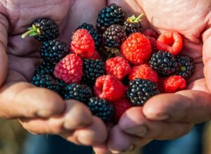 1760000551488 1760000551488