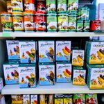 img_20250916_1009414372