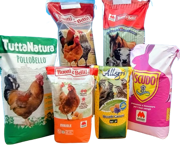 img_20250916_113017211_2-removebg-preview - copia