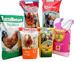 img_20250916_113017211_2-removebg-preview - copia