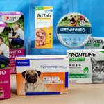 img_20250916_1017502602