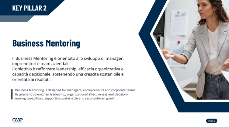 pag 6 business mentoring