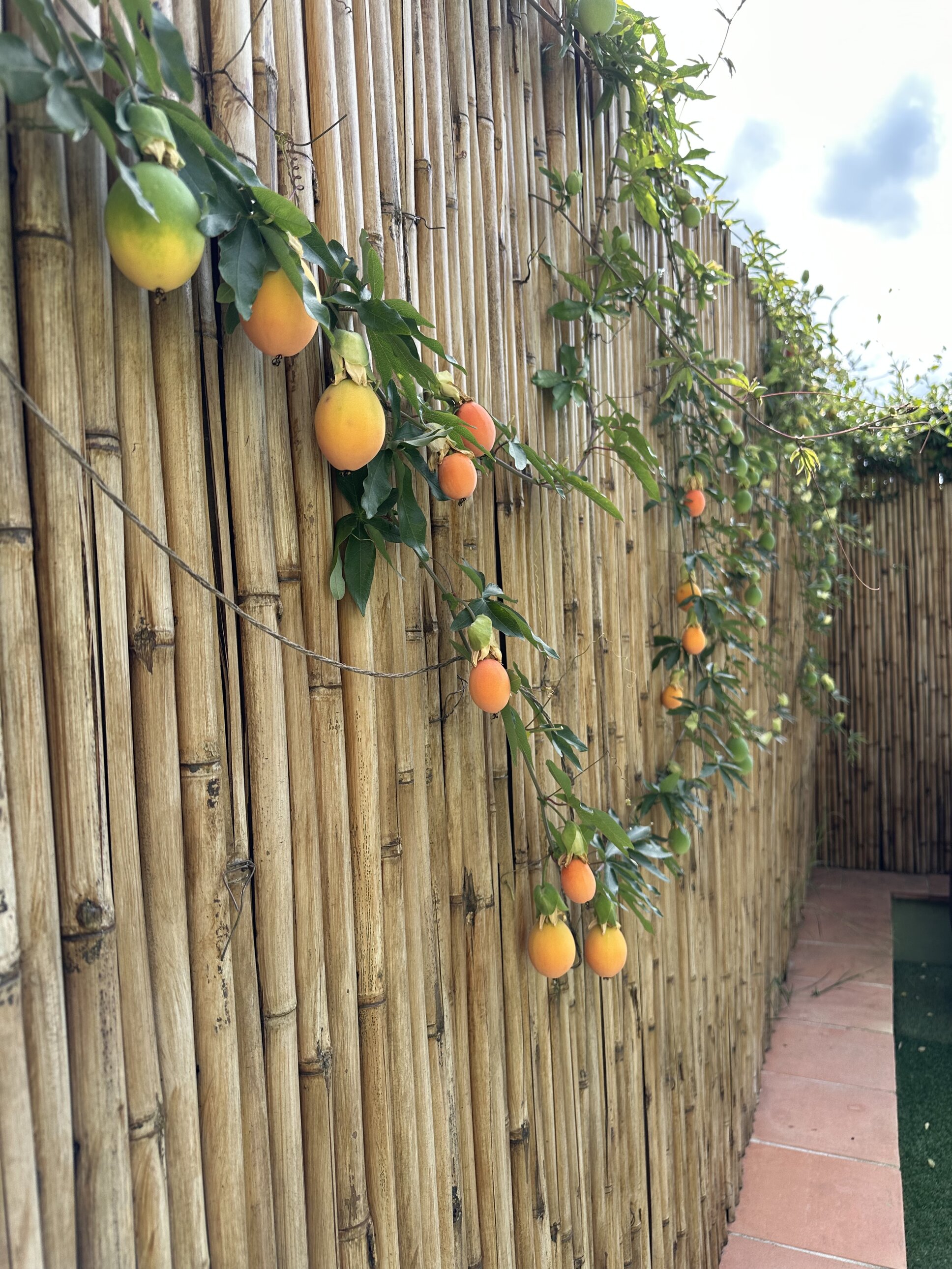 Particolare BBQ Lounge Particolare BBQ Lounge