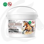 equilibrian-argilla-naturale-in-polvere