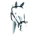 cavezzone-doma-spagnola-in-cuoio-nero