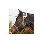 magnetic-poll-piece-ii