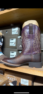 stivale-ariat-n43