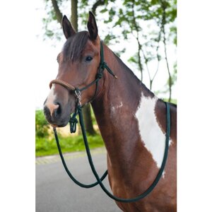 capezza-in-corda-con-redini