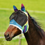 maschera-anti-mosche-raimbow