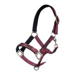 capezza-con-perline-e-longhina