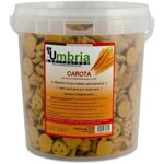 secchio-biscotti-gusti-carote-3kg