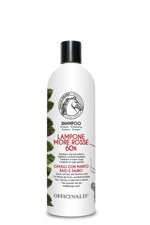 shampoo-lampone-e-more-rosse