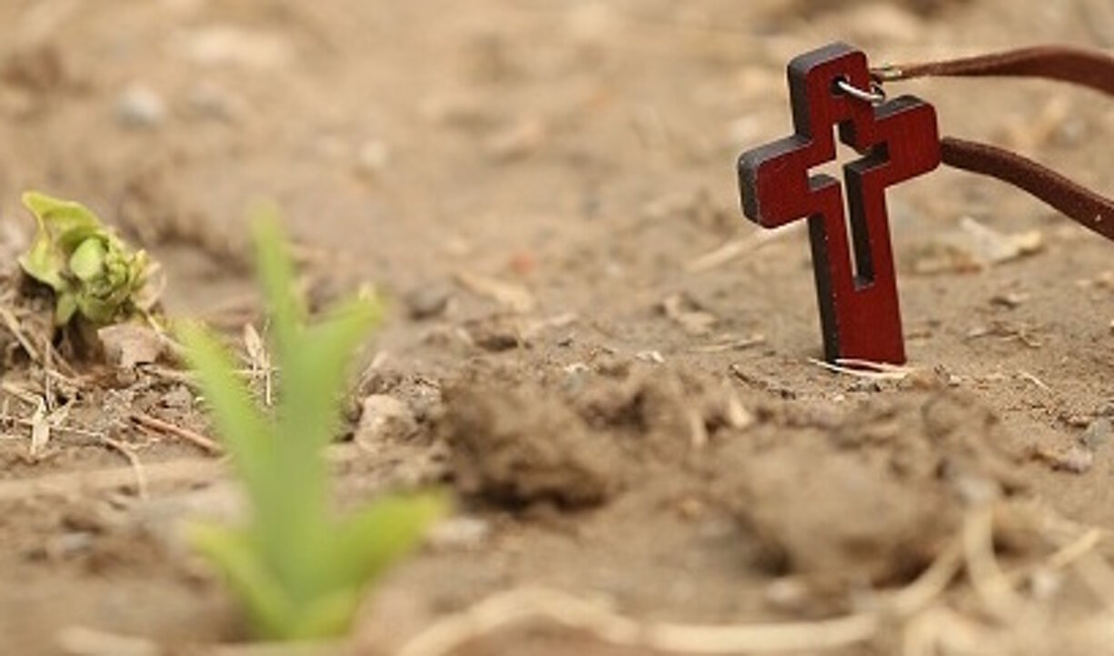 f97b9fe8-da55-422a-81d1-287882180a98