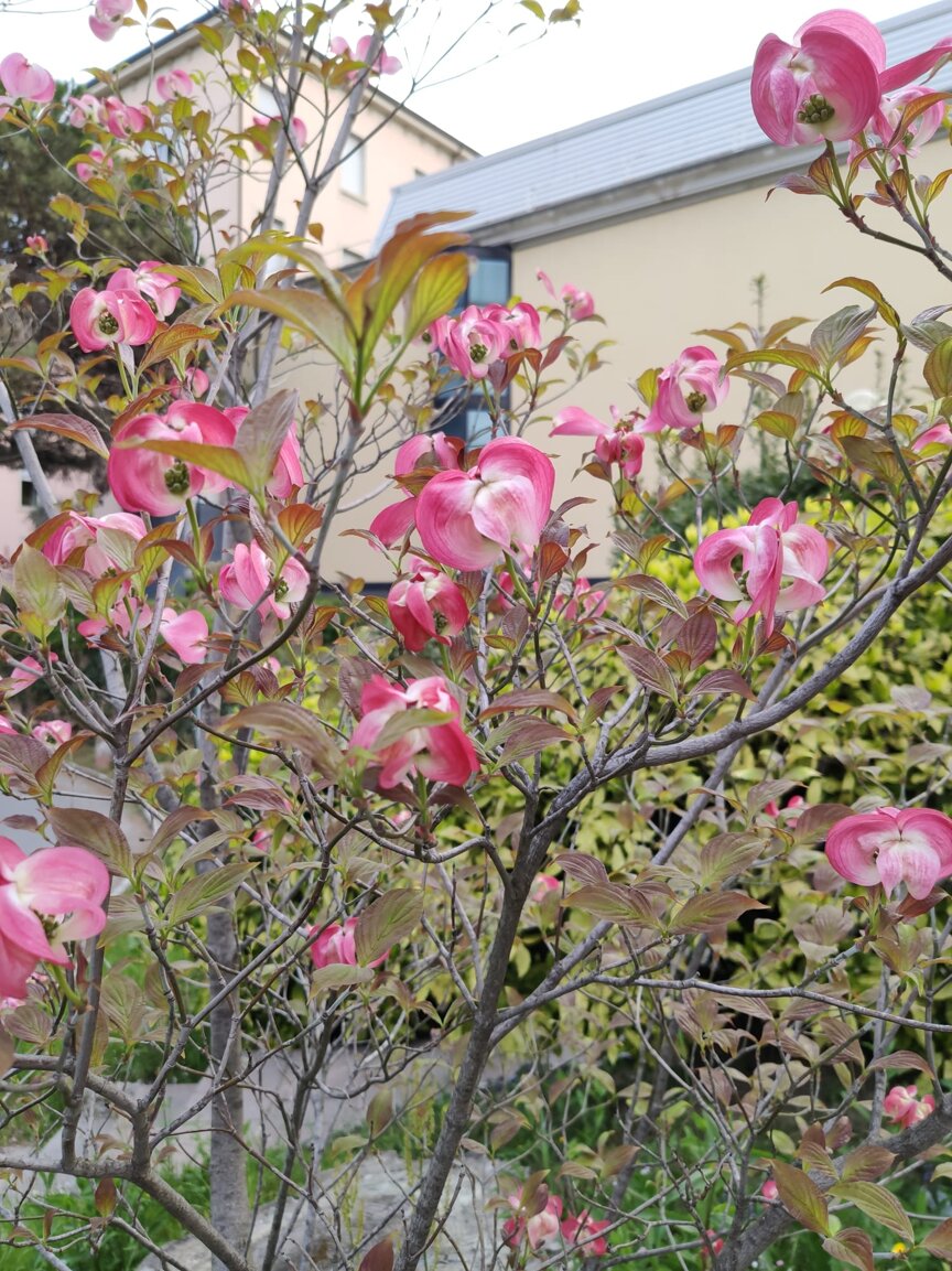 881ecd85-a4ee-460c-aa9c-756cd611d8bb