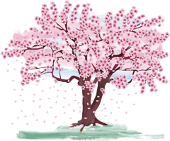 dandelion_tea-cherry-blossom-7081566_1920