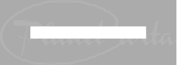 logo_planetcarta_300x111